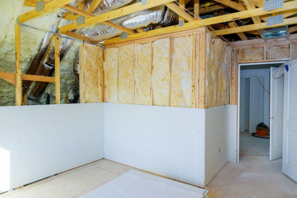 Eco-Friendly or Green Insulation Solutions in Muskegon, MI