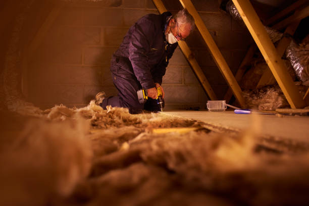 Best Commercial Insulation Services  in Muskegon, MI